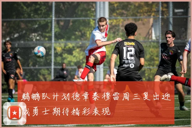 鹈鹕队计划德章泰穆雷周三复出迎战勇士期待精彩表现