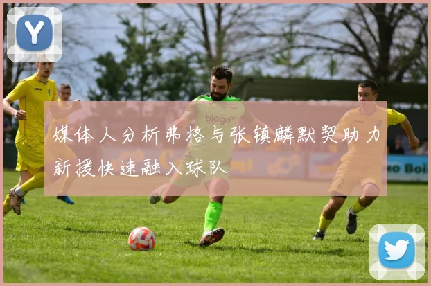 媒体人分析弗格与张镇麟默契助力新援快速融入球队